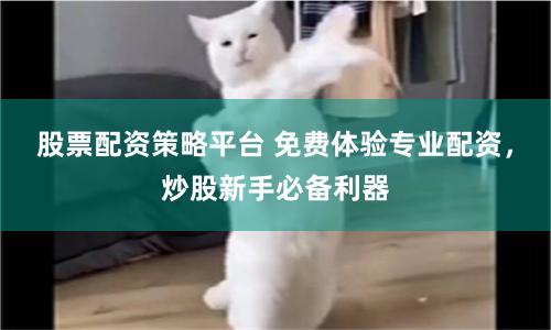 股票配资策略平台 免费体验专业配资，炒股新手必备利器