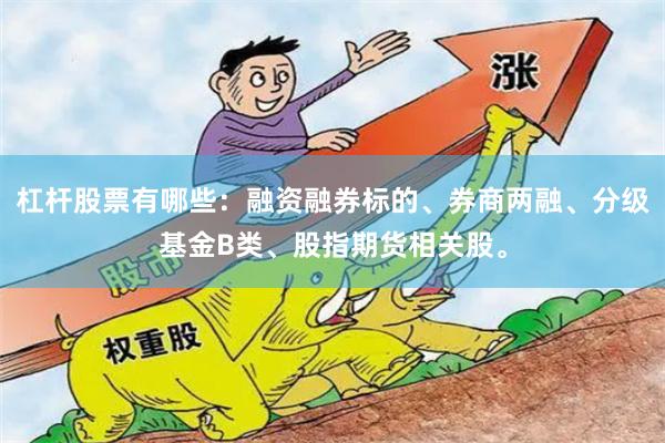 杠杆股票有哪些:融资融券标的、券商两融、分级基金B类、股指期货相关股。