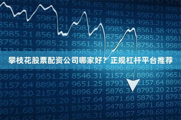攀枝花股票配资公司哪家好？正规杠杆平台推荐