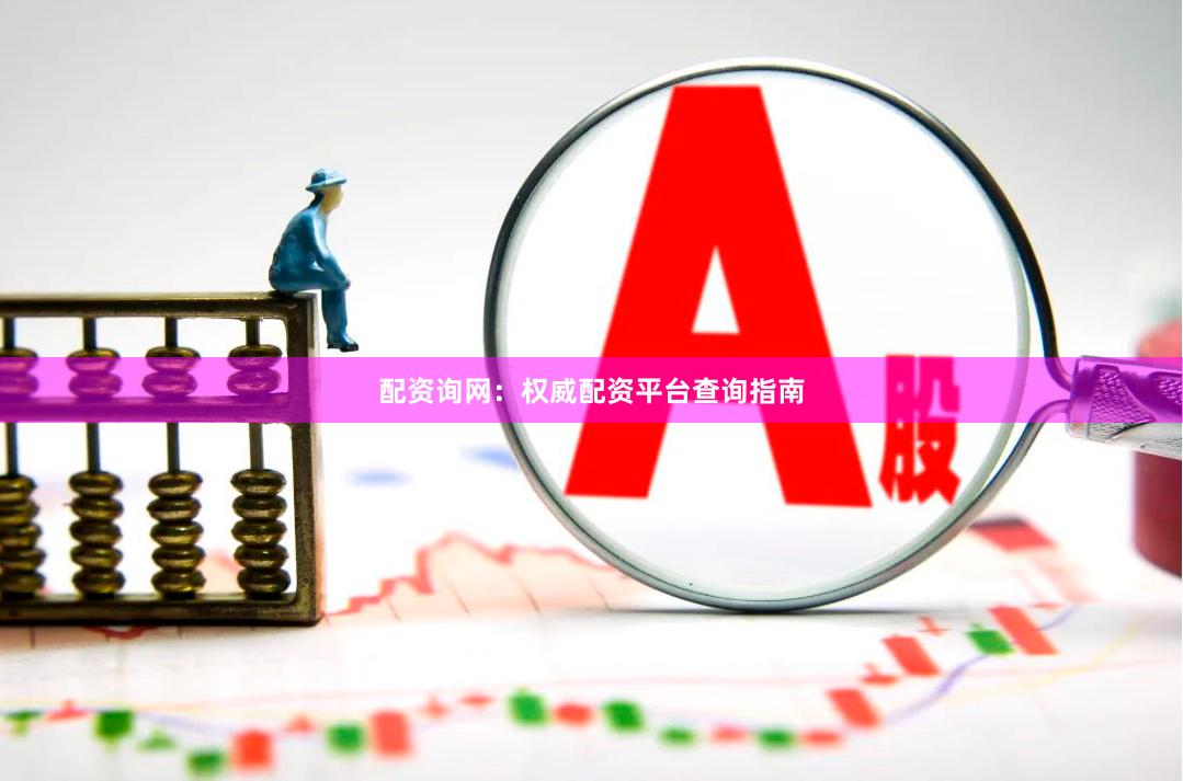 配资询网：权威配资平台查询指南