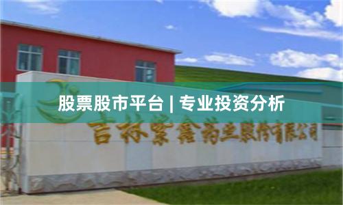 股票股市平台 | 专业投资分析